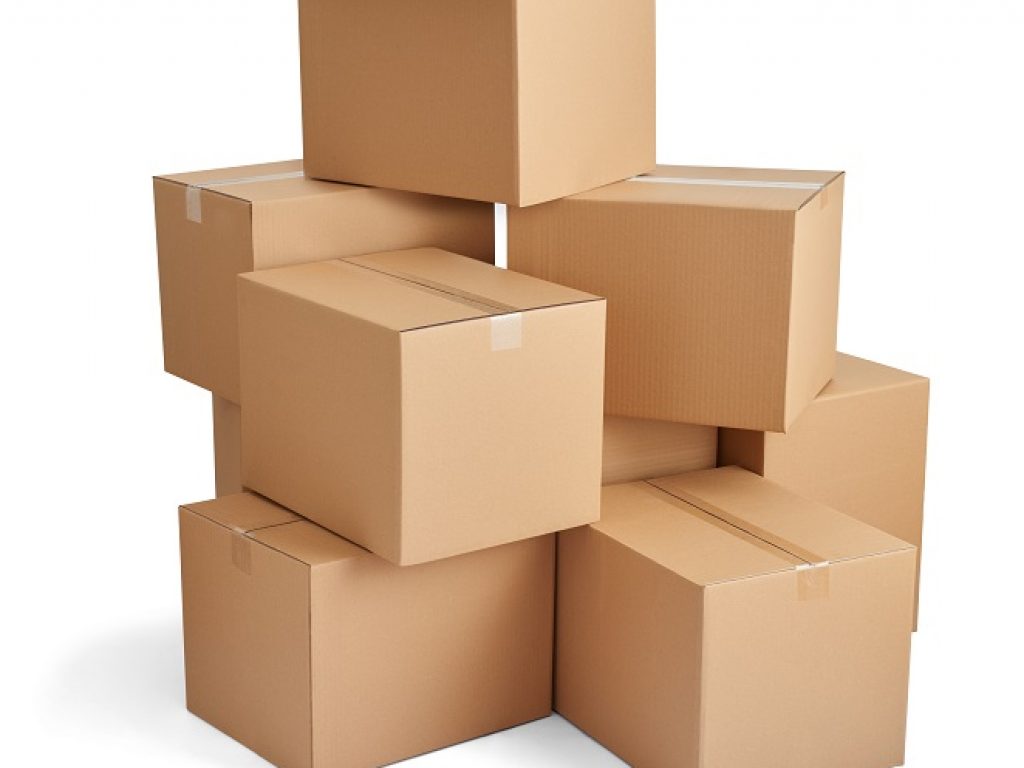 Biodegradable and Recyclable Packaging Material