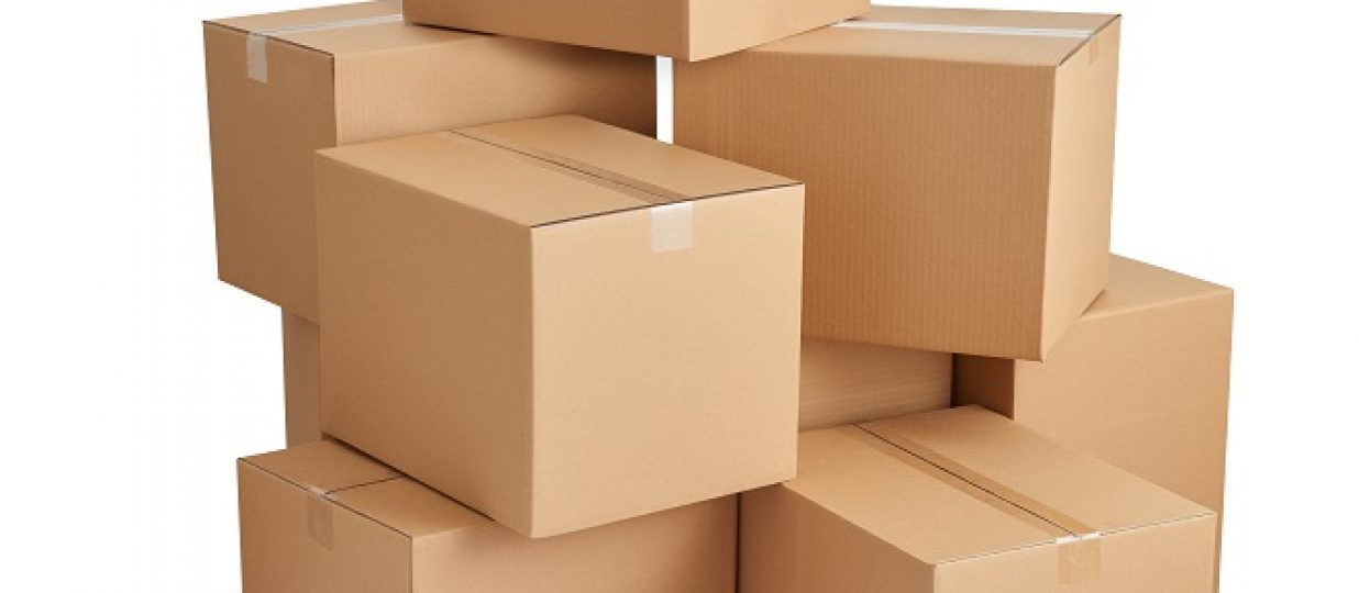 Biodegradable and Recyclable Packaging Material