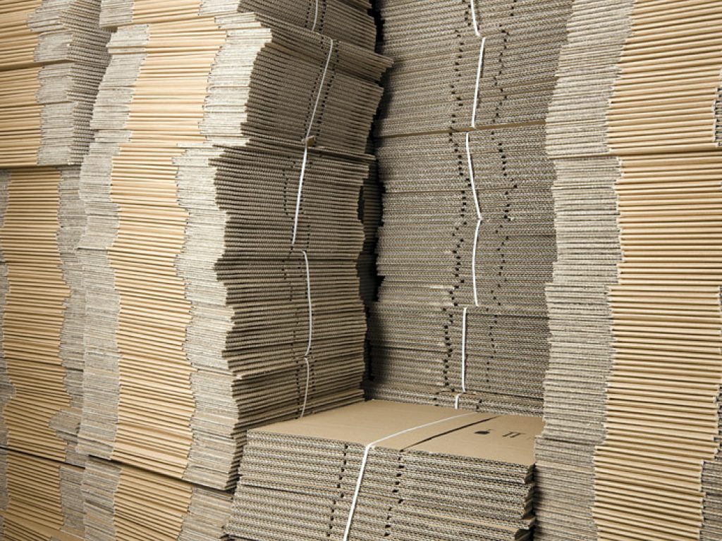 Insight : Key Drivers and Trends in Corrugated Packaging