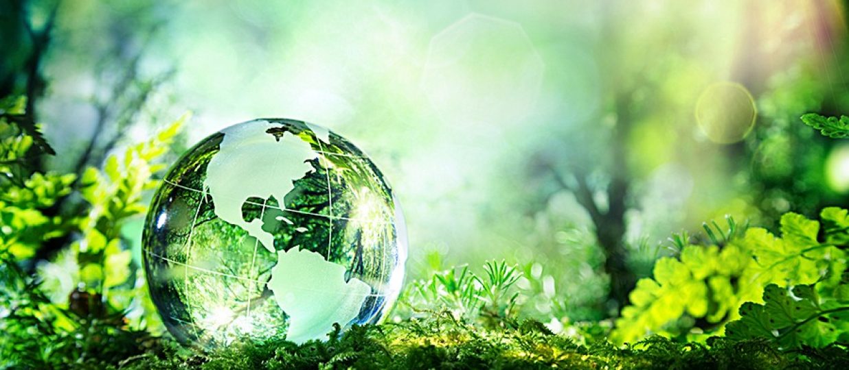Consumers demanding more sustainable packaging